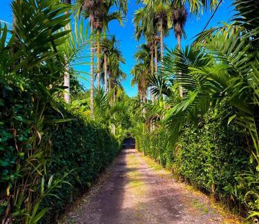 Villavicencio Hotel | Hacienda Dalas Alojamiento Campestre