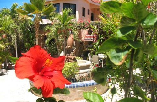 La Ribera Cama Y Desayuno | Hacienda De Palmas