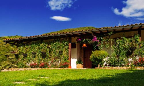 Toro Casa | Hacienda La Tulia Eco Hotel