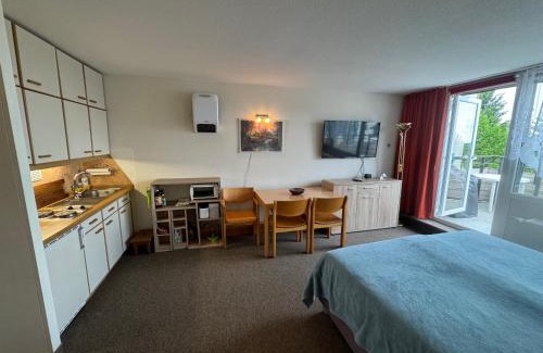 Sankt Englmar Apartamento | Hainz Panorama Deluxe Fernblick mit Sauna und Pool