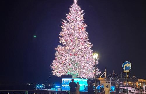 Hakodate Apartamento | Hakodatekan - Vacation STAY 07905v