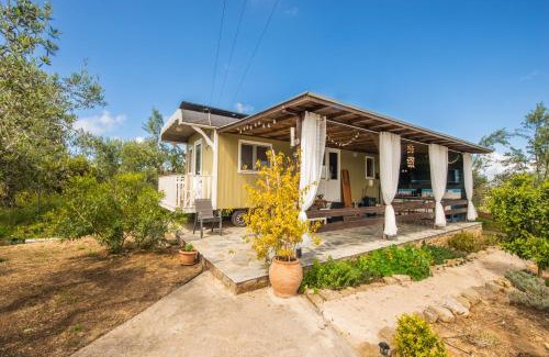 Pylos-Nestoras Cabina | Hakuna Matata Holidays wooden lodge with airco & pool in Greek Olive Grove