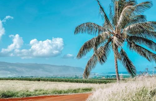 Waialee Otro | Haleiwa Off Grid Tent - 5 min from town