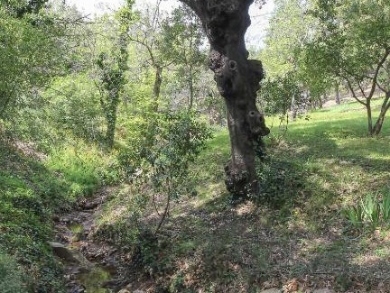 La Garde-Freinet Casa | Hameau de la Suyère