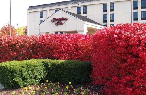 Georgetown Hotel | Hampton Inn Lexington - Georgetown I-75