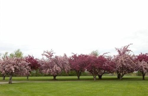Town of Yates Casa | Hamptons North