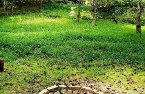Alexander Casa | Hand built Forest Dome Peaceful & unique glamping experience w/ all essentials