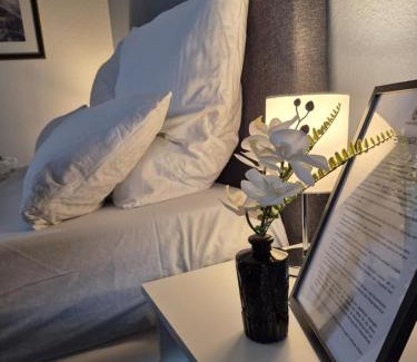 Wolfsburg Apartamento | HANNIBAL - Studio-Apartment Gladiole 1, Parkplatz, Küche, HighSpeed WLAN