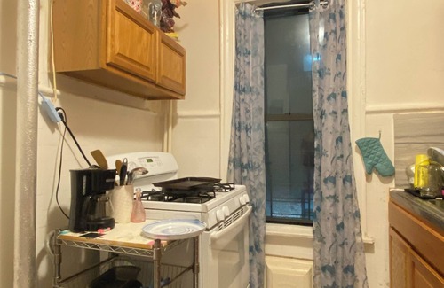 Ditmas Park Apartamento | Happy artist Sasha hosting spacious prewar apartment in Flatbush broooklyn!