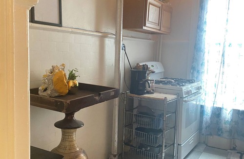 Ditmas Park Apartamento | Happy artist Sasha hosting spacious prewar apartment in Flatbush broooklyn!