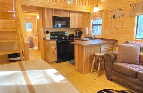 Leeper Cabina | Happy Bear Log Cabin near Cook Forest State Park