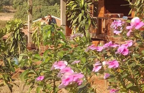 Ban Lung Casa | Happy bungalow & trekking