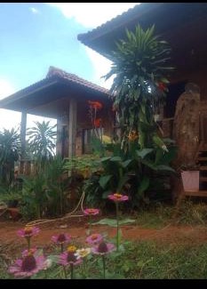 Ban Lung Casa | Happy bungalow & trekking