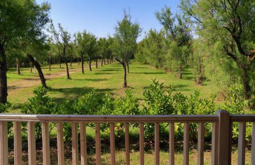 Torre Rinalda Otro | Happy Camp Mobile Homes in Torre Rinalda