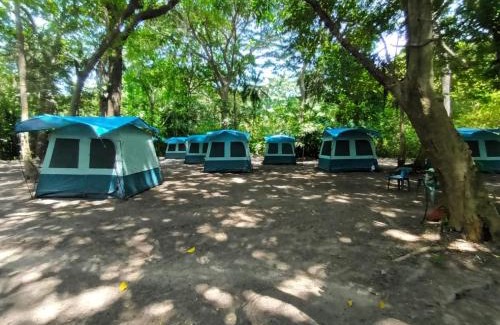 Santa Marta Otro | Happy Camping Arrecifes dentro del Parque Nacional Natural Tayrona