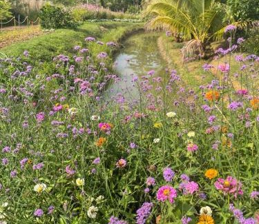 Wang Katha Casa | Happy Farm Home stay Khaoyai