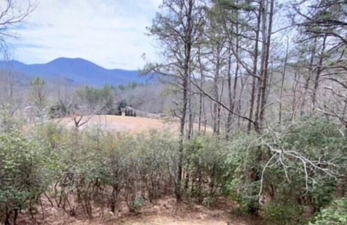 Hiawassee Cabina | Happy Hideaway Cabin