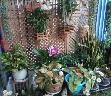 Ban Phe Casa | Happy Home Guest House