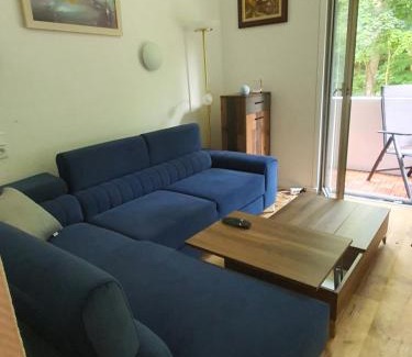 Bad Harzburg Apartamento | Happy Home - inclusive Pool & Sauna