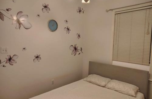 Halifax County Apartamento | Happy Moose Guest Suite