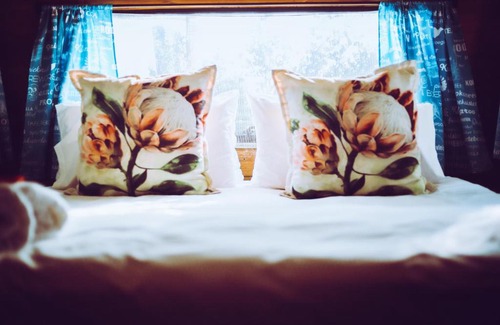 Cape Peninsula Otro | Happy Van