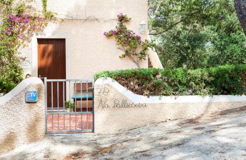 Cala Figuera Apartamento | Harbour view 1