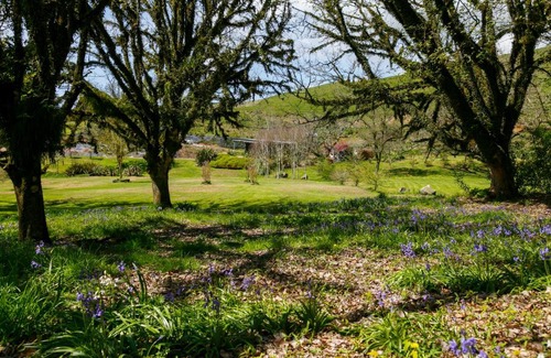 Kinloch Cabina | Hare's Rest