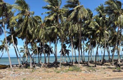 Rameshwaram Complejo | Harish Beach Resort