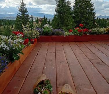 Belis Casa | Harmony Retreat