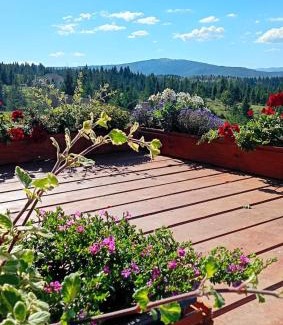 Belis Casa | Harmony Retreat