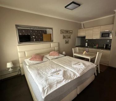 Harrachov Apartamento | Harrachov Resident Apartments "Terrace & Chill" - high speed WiFi, možnost snídaně, Smart TV, Netflix, Disney plus