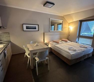 Harrachov Apartamento | Harrachov Resident Apartments "Terrace & Chill" - high speed WiFi, možnost snídaně, Smart TV, Netflix, Disney plus