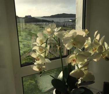 Rodel Casa | Harris White Cottage
