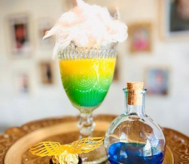 Senec Casa | Harry Potter Magic House