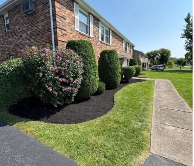 Niagara Falls Apartamento | Harvest Haven's Plaza Paradise