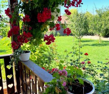 Lunca Muresului Casa | Harvest House Transylvania