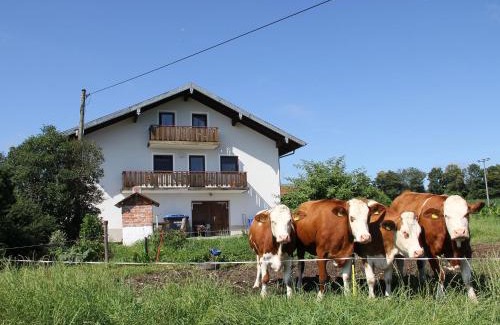 Waging am See Apartamento | Haslacher Hof