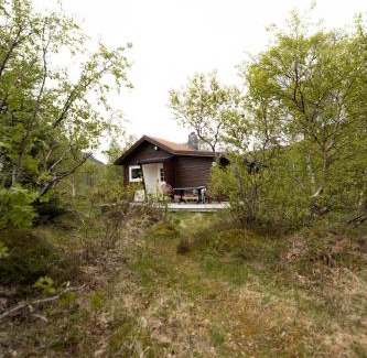 Barstrand Cabina | Haugteig