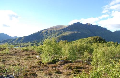 Barstrand Cabina | Haugteig