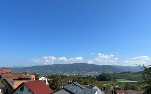 Oberkirch Apartamento | Haus 11