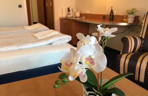 Hahnenklee Apartamento | Haus 4 seasons