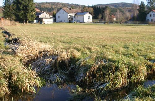 Waldmuenchen Apartamento | Haus am Treffenbach