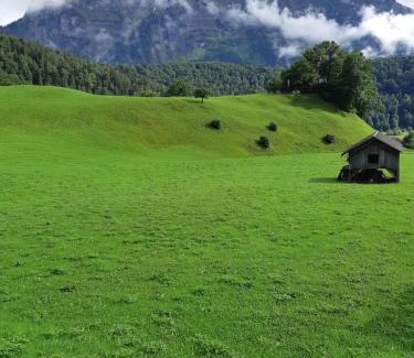 Bizau Apartamento | Haus Annelies