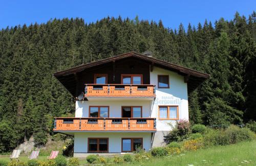 Schildlehen Apartamento | Haus Bergquell