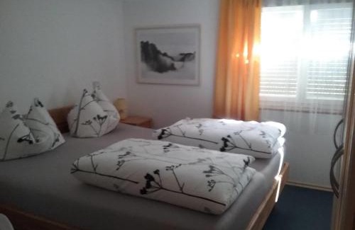 Weiler-Simmerberg Apartamento | Haus Biggi - Ferienwohnung Hochgrat