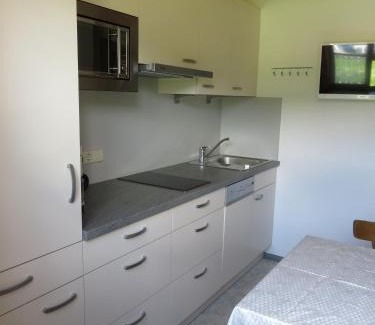 Radstadt Apartamento | Haus Buchsteiner