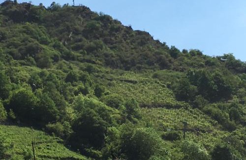 Cochem Apartamento | Haus Dana