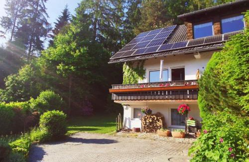 Eppenschlag Apartamento | Haus-Daxberg-idyllisch-gelegen-im-Bayerischen-Wald-Ferienwohnung-mit-Zimmer-Kueche-Bad
