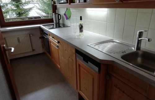 Hochkrimml Apartamento | Haus Elisabeth Top 105