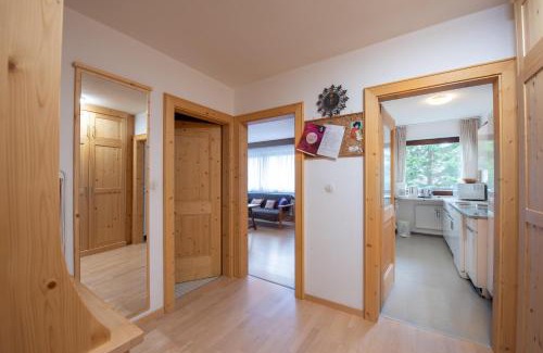 Hochkrimml Apartamento | Haus Elisabeth Top 106